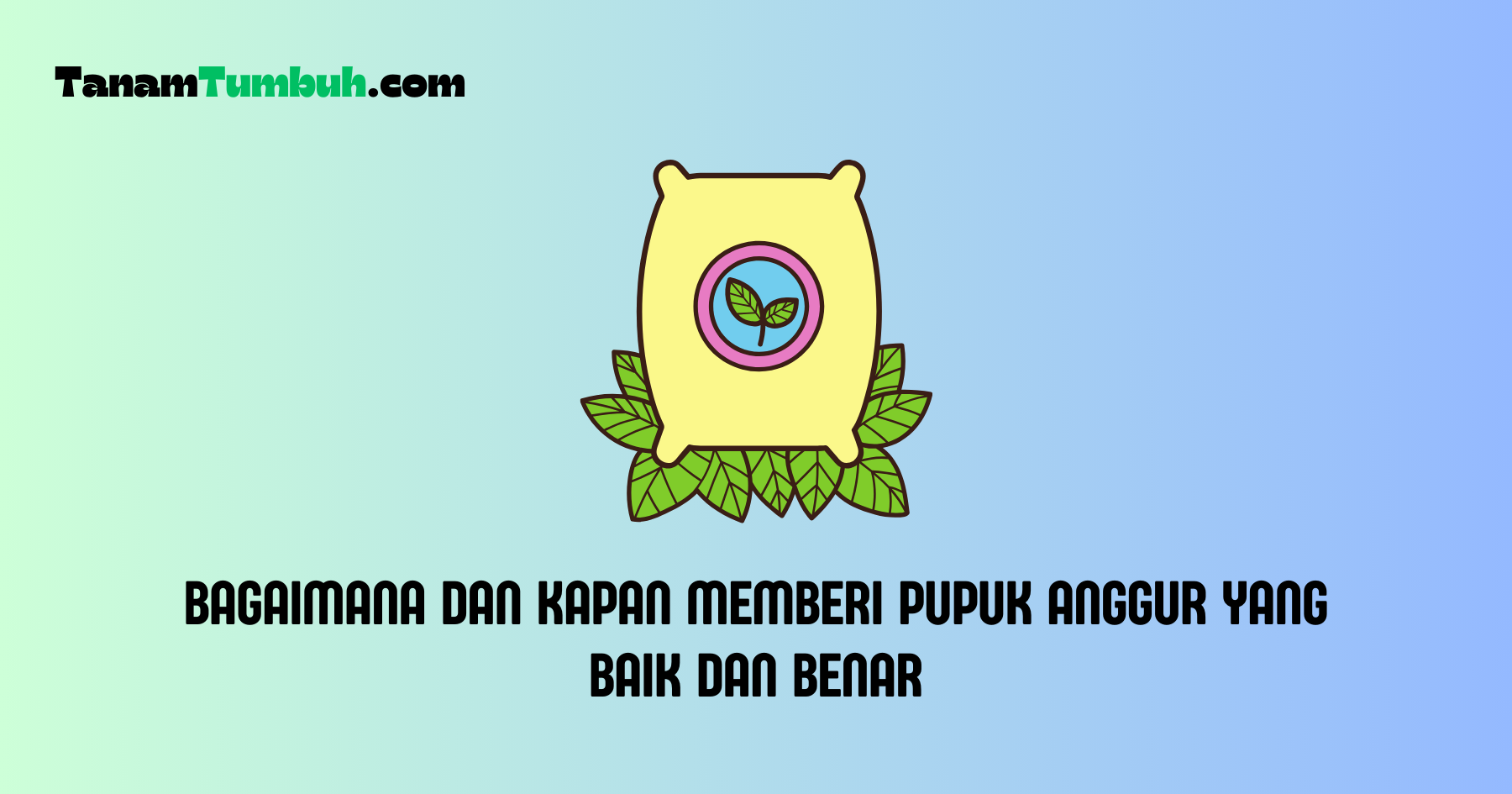 Bagaimana dan Kapan Memberi Pupuk Anggur