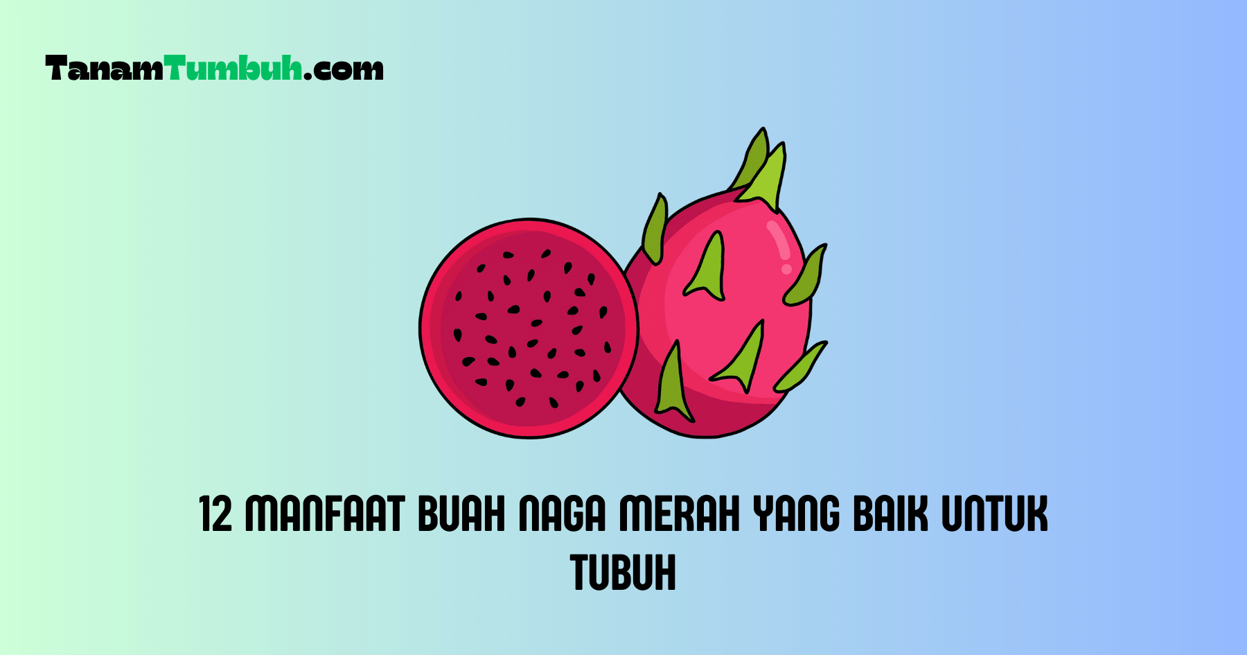 Manfaat Buah Naga Merah